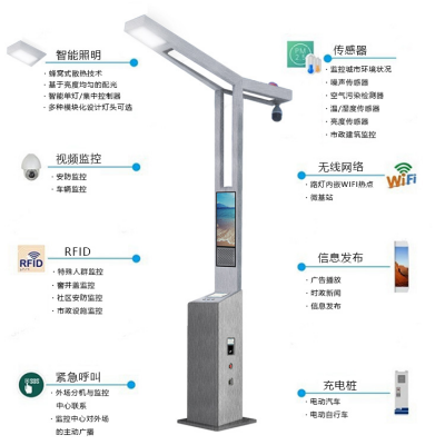 瑞成RC-ZHDG 智慧灯杆**智慧路灯 城市智慧照明 充电桩灯杆 物联网 LED智能路灯