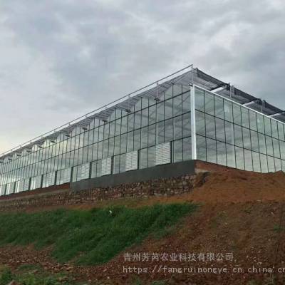 智能玻璃温室大棚建造，农业***园，潍坊温室大棚厂家包设计包施工包售后