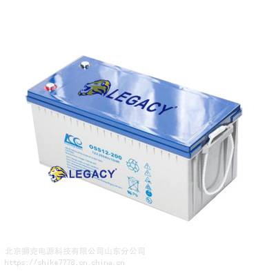 英国KE金能量蓄电池SS12-38 12V38AH机房通信UPS电源